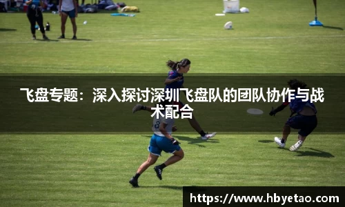 飞盘专题：深入探讨深圳飞盘队的团队协作与战术配合