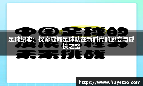 足球纪实：探索成都足球队在新时代的蜕变与成长之路