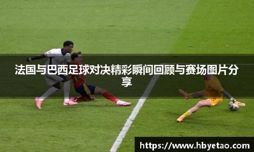 龙8long8国际